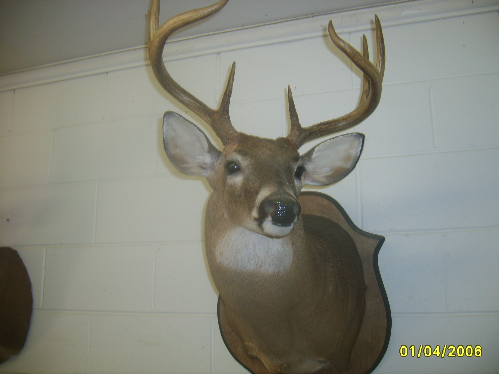 BOONDOCK OUTDOORS & R&R DEER COOLER